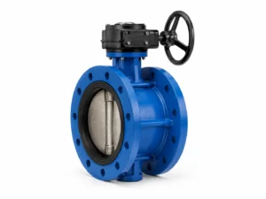 Double Flanged Butterfly Valve