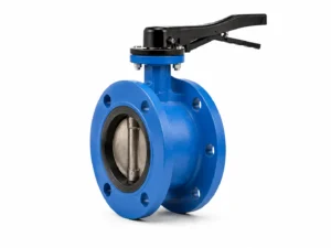 Lug Butterfly Valve